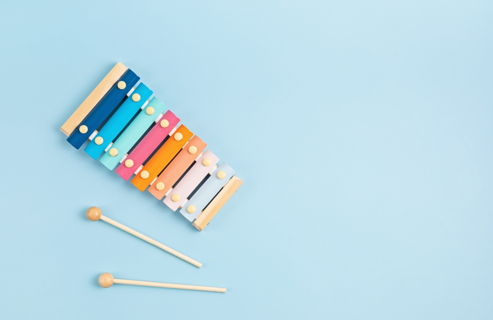 Mainan Alat Musik Anak 4 Bulan