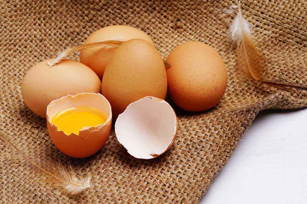 Vitamin E kandungan gizi telur Vitamin E kandungan gizi telur
