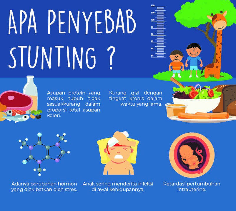 Penyebab Stunting Homecare