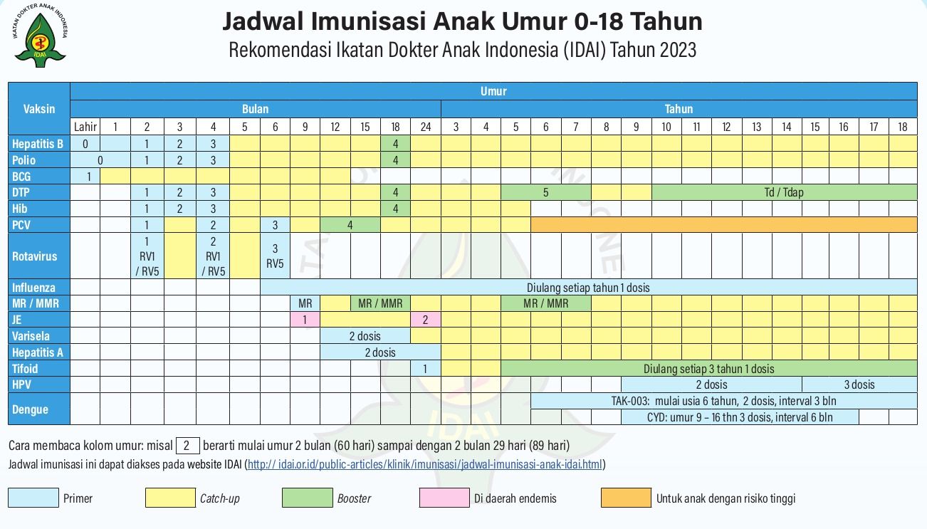 jadwal imunisasi bayi dari IDAI berdasarkan usia - ibudanbalita