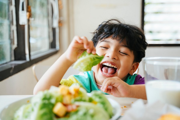 Panduan pola makan sehat bergizi dan seimbang - ibudanbalita