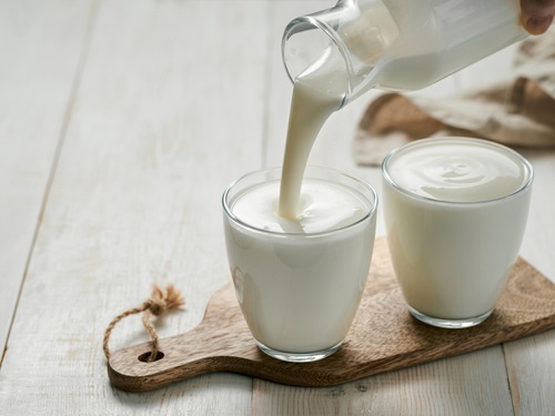 susu dan yogurt makanan untuk perkembangan otak anak - ibudanbalita