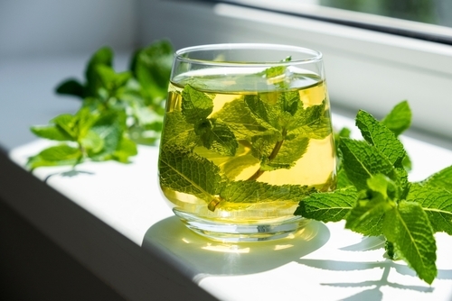 daun mint untuk obat tradisional mual dan muntah pada anak - Ibudanbalita] 