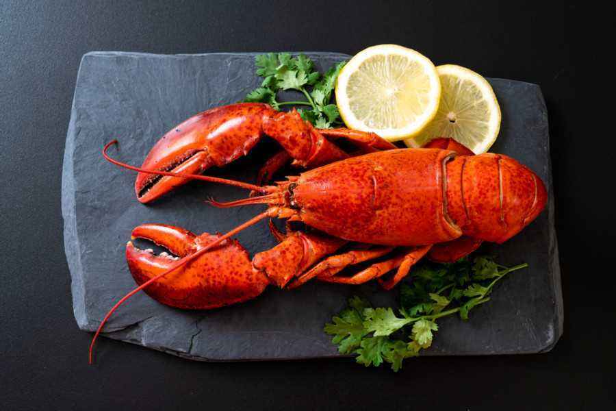 6 Manfaat Lobster Yang Baik Bagi Kesehatan Anak