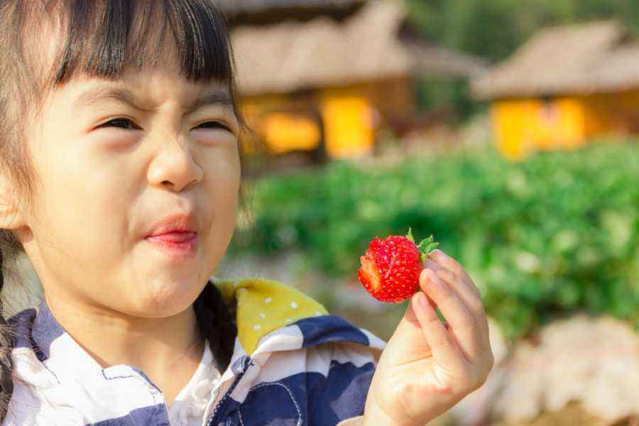 Si Kecil Pilih-pilih Makan? Ini Penyebab dan Solusinya