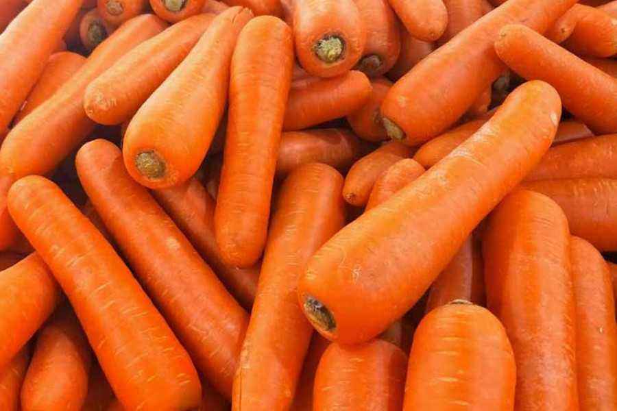 8 Manfaat Vitamin  A untuk  Tumbuh Kembang Anak  Usia 1 3  Tahun 