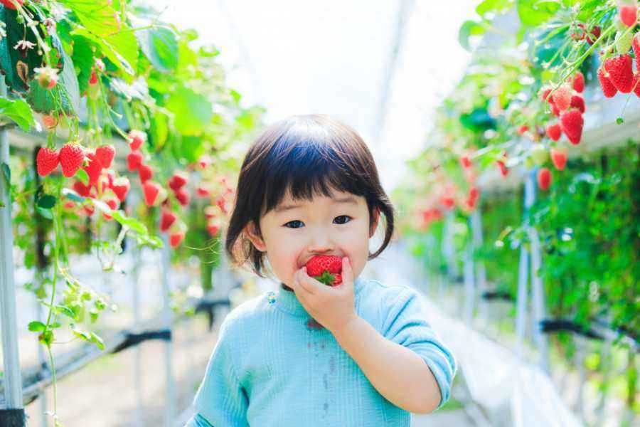 4 Manfaat Konsumsi Buah untuk Kesehatan Si Kecil