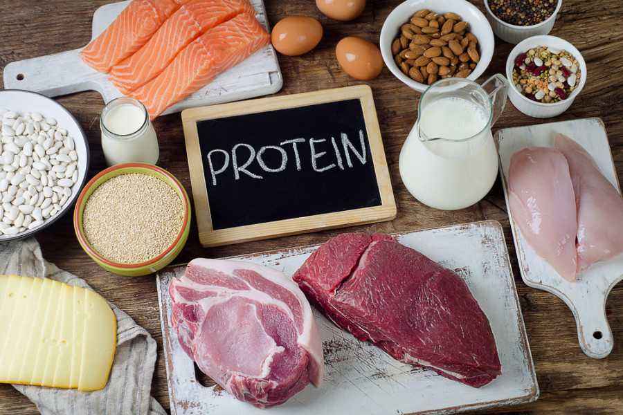 4 Rahasia Manfaat Makanan Tinggi Protein