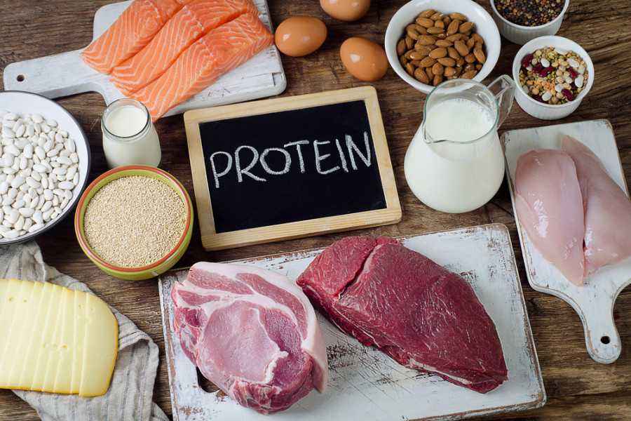 4 Manfaat Konsumsi Makanan Tinggi Protein untuk Anak