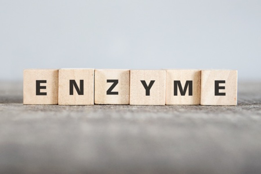 Fungsi Enzim Pencernaan Anak, Penting Bagi Tumbuh Kembangnya