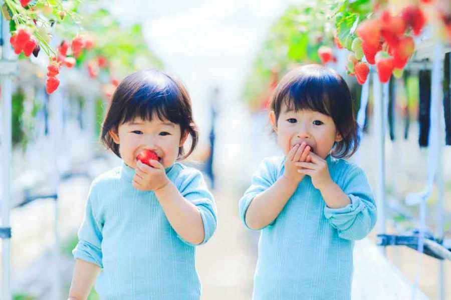 Inilah 7 Fakta Menarik Tentang Si Kecil yang Terlahir Kembar 