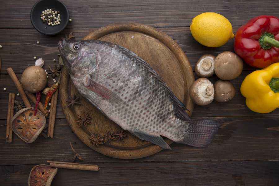 6 Manfaat Ikan Nila untuk Tumbuh Kembang Si Kecil