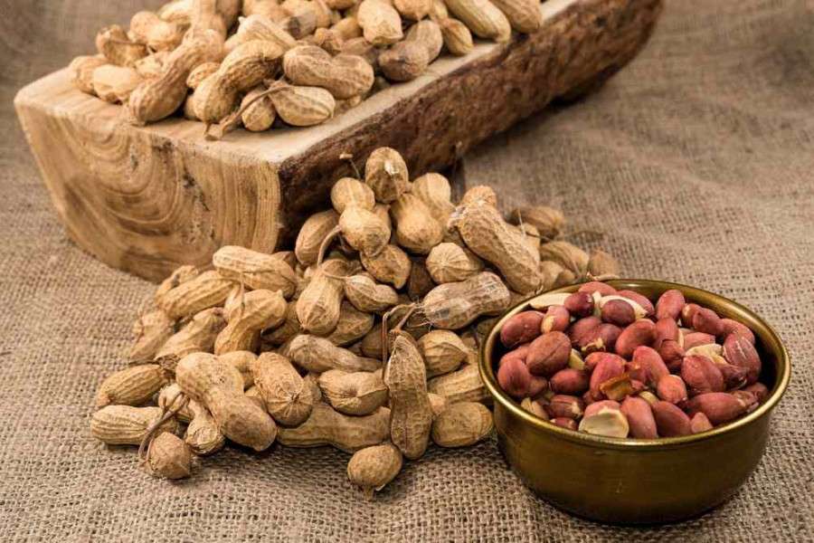 4 Manfaat Kacang Tanah untuk Optimalkan Tumbuh Kembang Anak