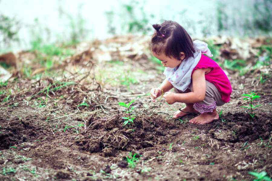 Lakukan Hal Ini Ketika si Kecil Makan Tanaman Liar