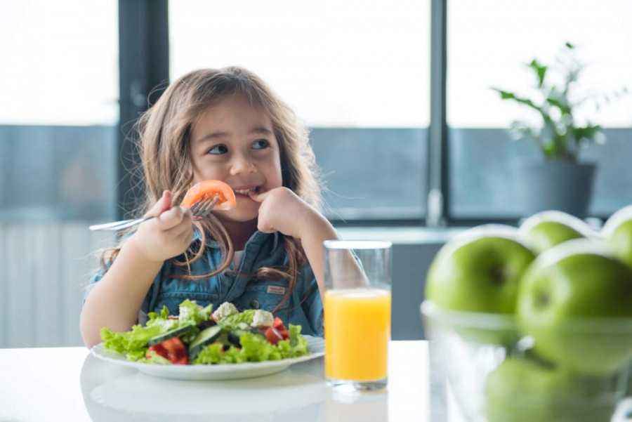 Pola Hidup Sehat dan Makan Bergizi, Kunci Kesehatan Si Kecil