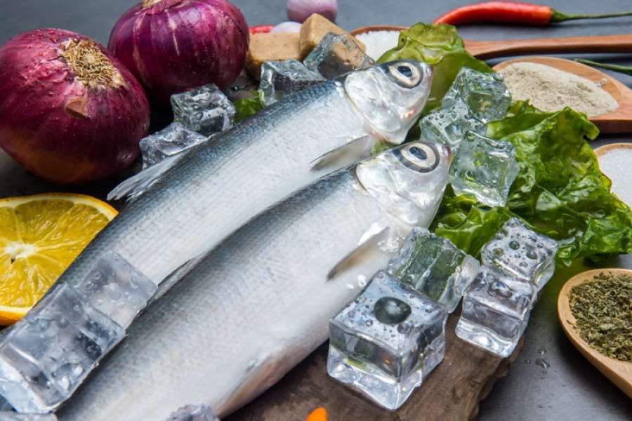 5 Manfaat Ikan Bandeng Berdasarkan Nutrisinya