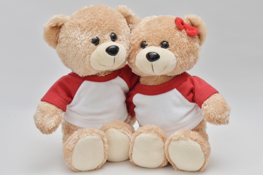 Ubah Persaingan Kakak Adik Menjadi Kerja Sama dan Keakraban