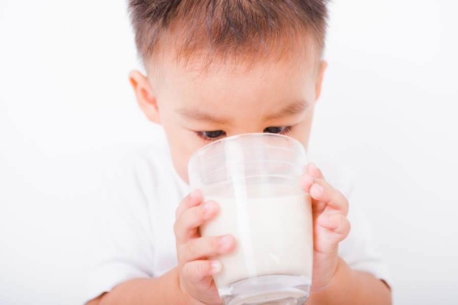 Anak 2 Tahun Susah Makan? Ini Rekomendasi Susu yang Tepat