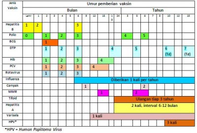 Investasi Kesehatan Masa Depan dengan Imunisasi