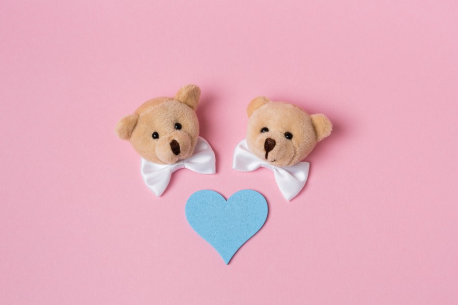 Faktor Penyebab Kembar Siam dan Cara Menanganinya