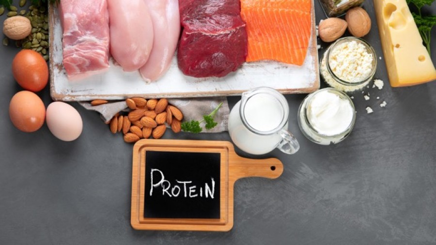 Protein Dan Tubuh Si Kecil