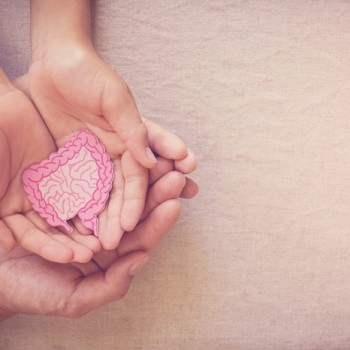 Yuk, Belajar Mengenal Fungsi Sistem Pencernaan Bersama Anak!