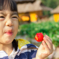 Kenali 4 Penyebab Anak Pilih-pilih Makanan