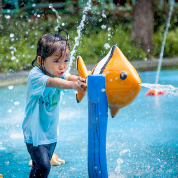 Stimulasi untuk Optimalkan Kecerdasan Kinestetik si Kecil