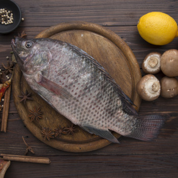 6 Manfaat Ikan Nila untuk Tumbuh Kembang Si Kecil