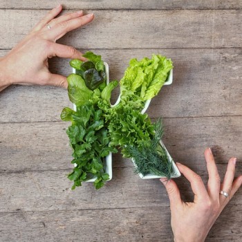5 Fungsi Vitamin K untuk Anak Prima, Orang Tua Harus Tahu!
