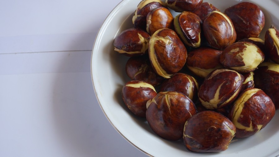 Amankah Ibu Hamil Makan Jengkol? Ini Penjelasannya!